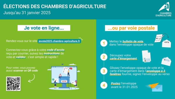 Comment voter aux élections des chambres d’agriculture ?