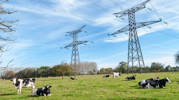 Électromagnétisme : des phénomènes qui interrogent