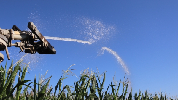 Une « petite année » d’irrigation