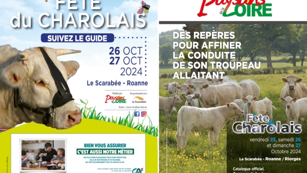 Paysans de la Loire œuvre pour la Fête du charolais