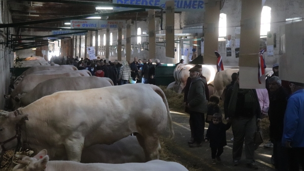 Comice : après une édition 2024 réussie, cap sur 2025