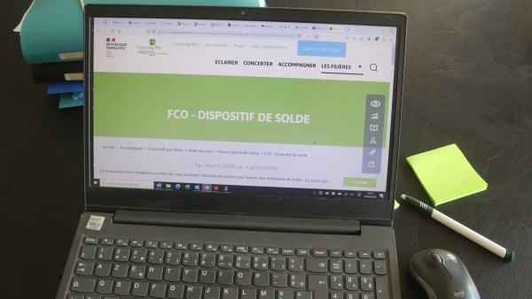 Indemnisation des éleveurs ovins et caprins au titre de la FCO