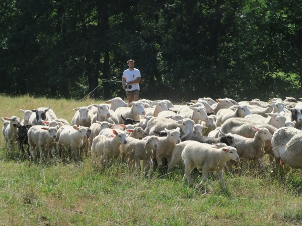 Regard sur les résultats économiques de 2022 de la ferme Auvergne-Rhône-Alpes 