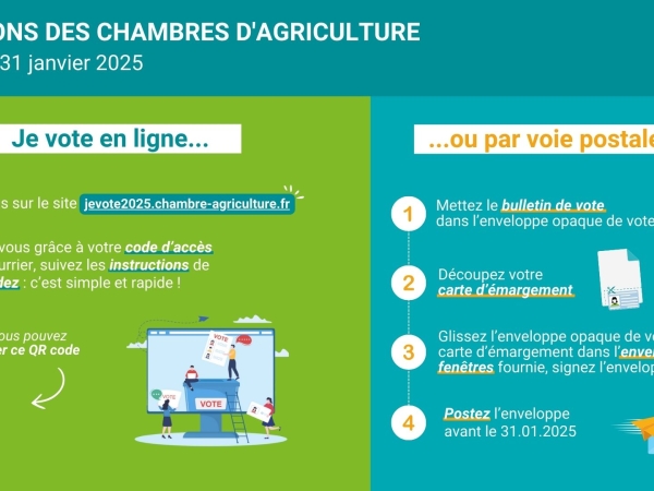 Comment voter aux élections des chambres d’agriculture ?