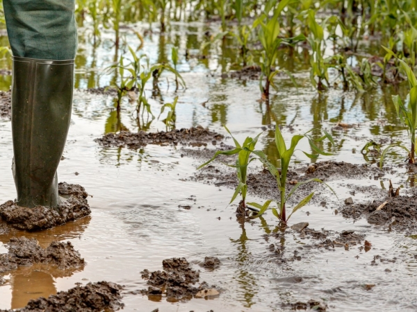 « Les aléas climatiques deviennent la norme »