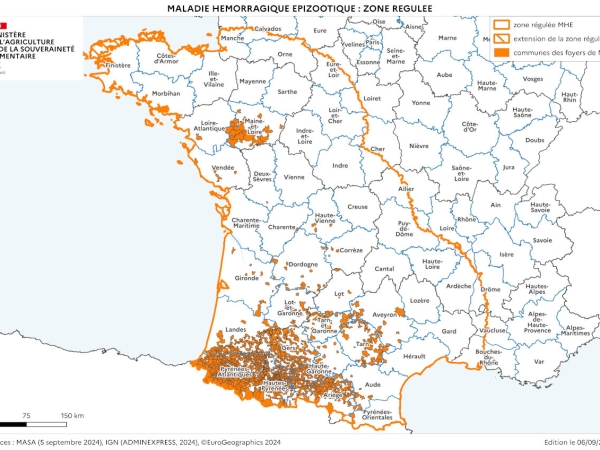 La Loire, point de rencontre des zones régulées MHE et FCO-3