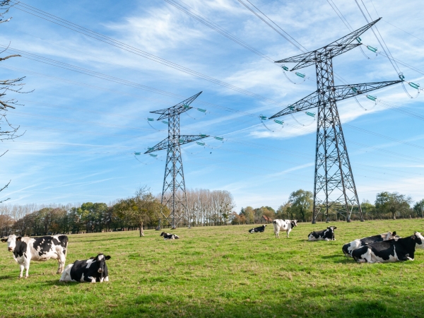 Électromagnétisme : des phénomènes qui interrogent