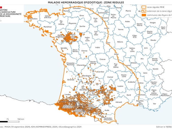 26 nouvelles communes de la Loire en zone régulée