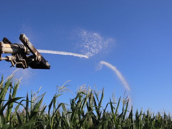 Une « petite année » d’irrigation