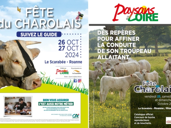 Paysans de la Loire œuvre pour la Fête du charolais