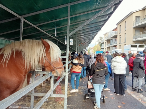 À vos agendas, la Sainte Catherine revient le 25 novembre