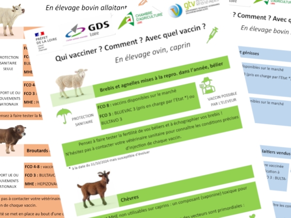 Quels animaux vacciner, avec quel vaccin ?