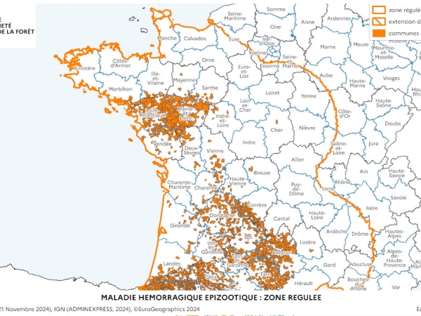 MHE : les règles pour le mouvement des animaux