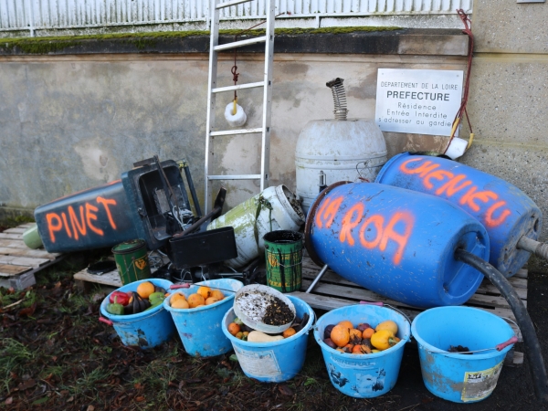 « Non à l’élevage de sangliers » : les agriculteurs stéphanois perdent patience