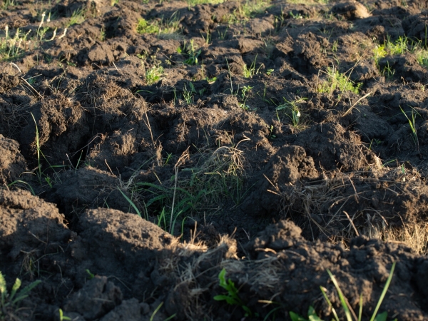 Comment déroger à l’interdiction de retournement des prairies sensibles ?