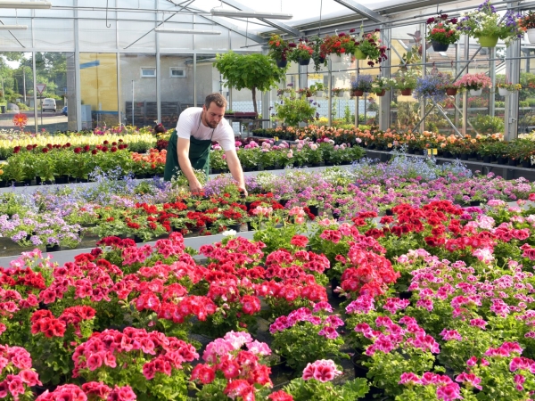 La Chambre professionnelle horticole de la Loire entre défis et opportunités