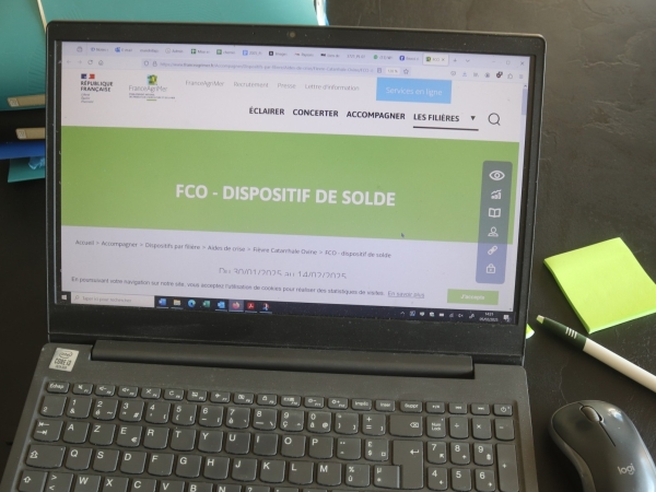 Indemnisation des éleveurs ovins et caprins au titre de la FCO