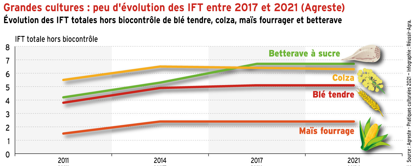 Les IFT grandes cultures stables entre 2017 et 2021