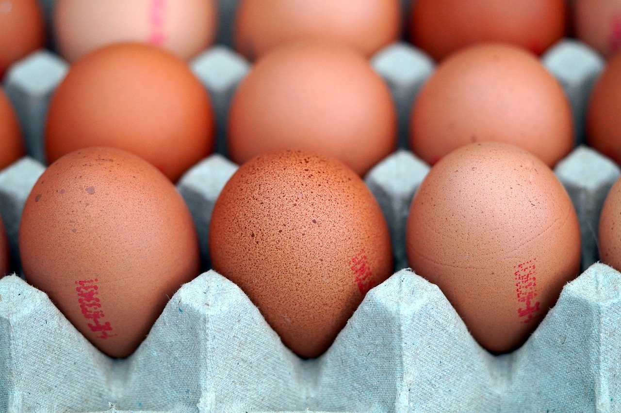 Baisse du prix des œufs en rayons 