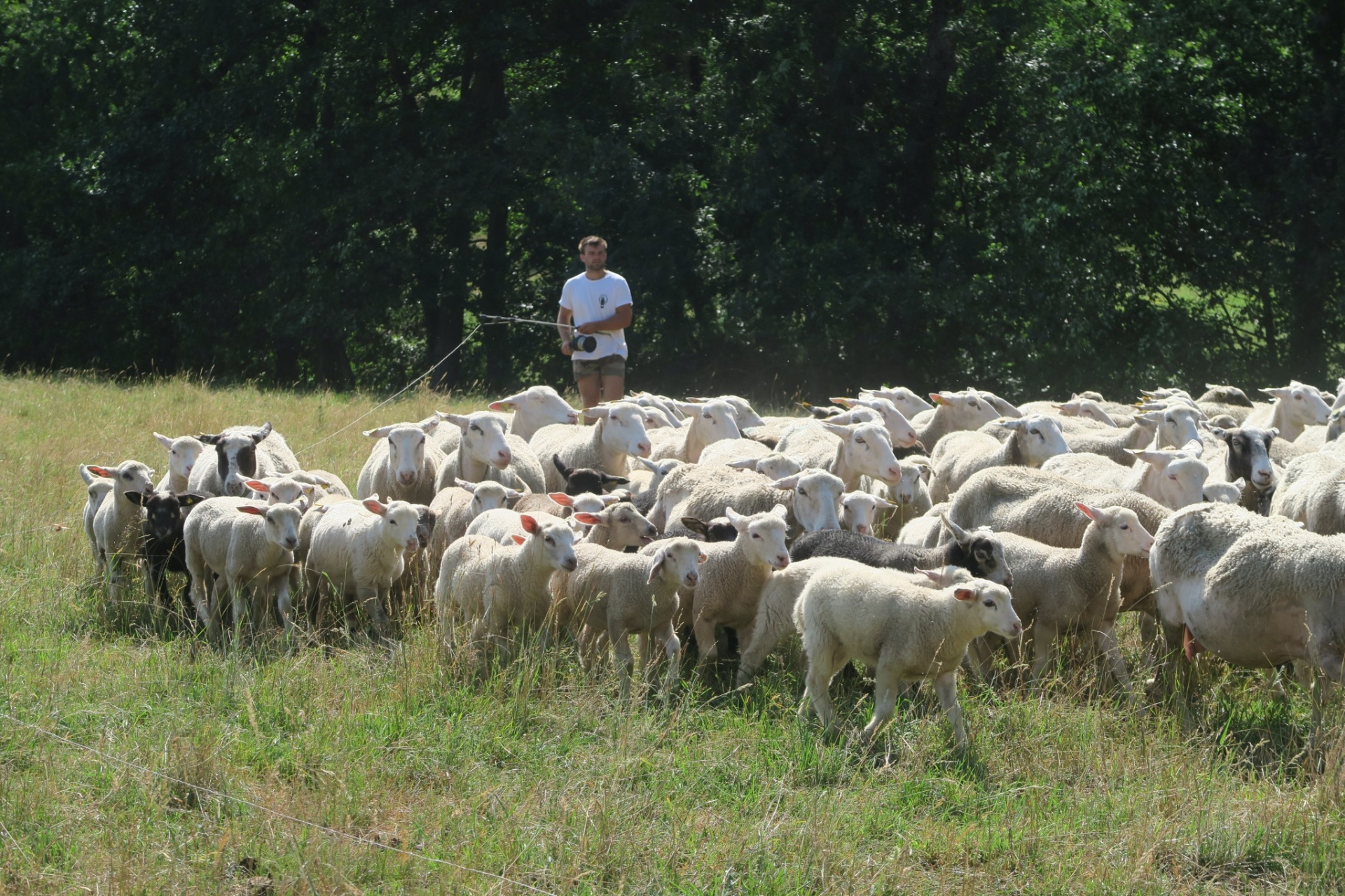 Regard sur les résultats économiques de 2022 de la ferme Auvergne-Rhône-Alpes 