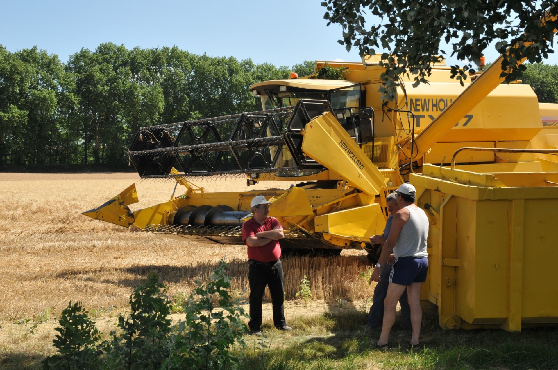 Céréales : Marc Fesneau annonce des mesures