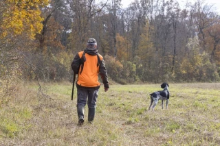 La baisse des accidents mortels de chasse se confirme