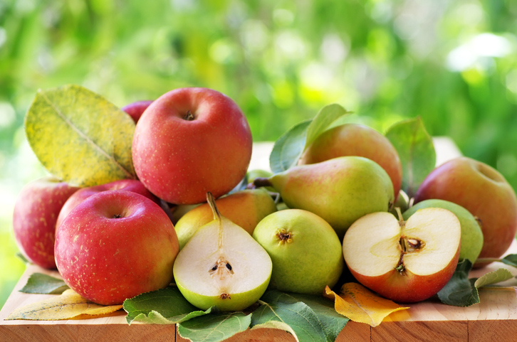 Léger recul de la production nationale de pommes