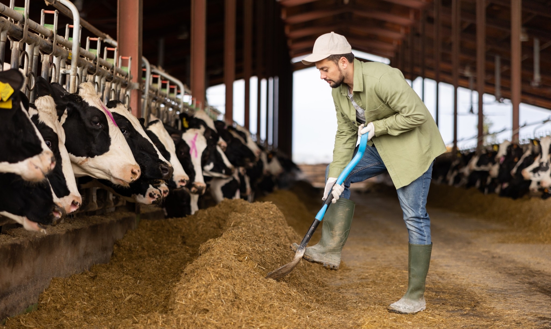 Lait : des indicateurs complémentaires publiés 