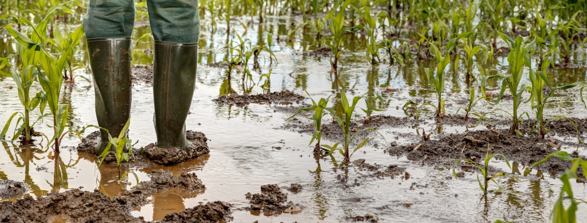 « Les aléas climatiques deviennent la norme »