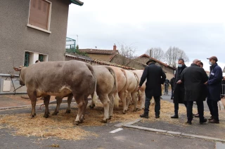 Comice : palmarès des concours 2021