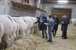 Un « marché de viande » dans le respect des règles sanitaires