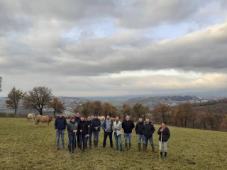 La race Aubrac a le vent en poupe