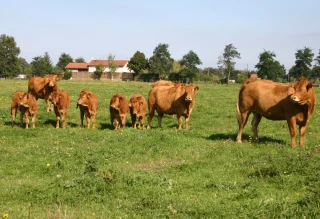 L’indicateur de coût de production en hausse de 4,6 %