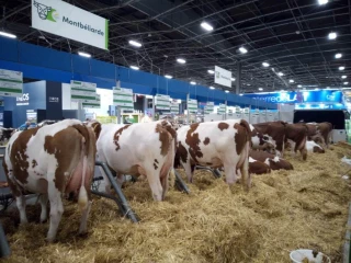 Salon de l’agriculture : la Loire bien représentée