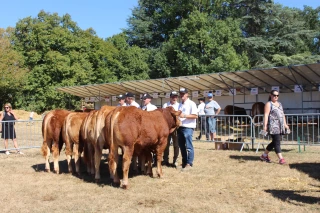 Un concours départemental limousin aux multiples finalités