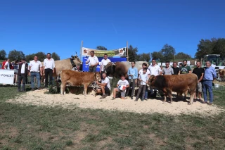 Un concours départemental aubrac radieux