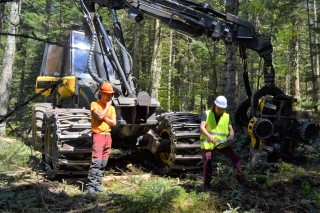 Nouveauté : La filière forêt-bois en vrai et en virtuel