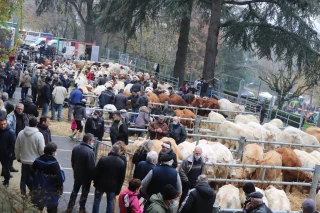 Quand les rues s’animent pour la foire de la Sainte Catherine