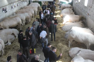 Comice de Feurs : des premiers signaux encourageants