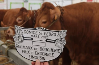 Palmarès du concours d'animaux de boucherie limousins