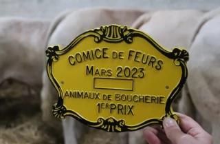 Palmarès du concours d'animaux de boucherie charolais