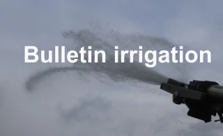 Bulletin d’irrigation du 1er au 7 mai