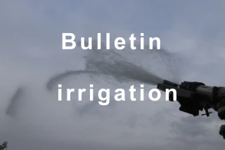 Bulletin d’irrigation du 18 septembre