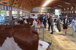 Génilait : toujours autant de succès