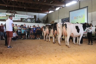 Prim'holstein : palmarès de Génilait 2023