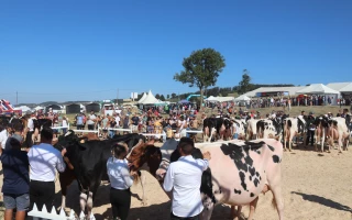 Fête du lait : plein la vue