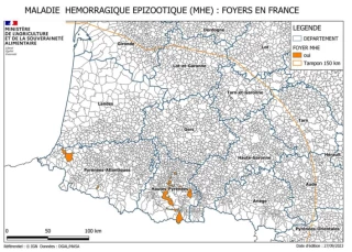 La propagation de la MHE se poursuit