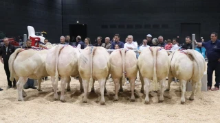 La Fête du charolais, outil de communication