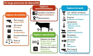 Bien-être de l’éleveur et des animaux grâce au numérique