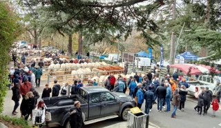 Foire de la Sainte Catherine : un événement qui reprend racine